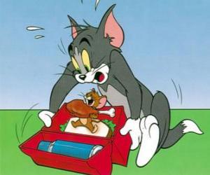 yapboz Jerry Tom piknik yiyor
